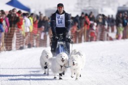 Lenk 2013